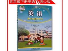 湘少版小学五年级英语下册同步网课教学视频全套（下学期 43集）