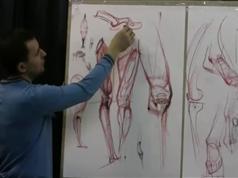 俄罗斯列宾美院内部课程高级讲师人体结构素描教程_人体结构素描教程视频