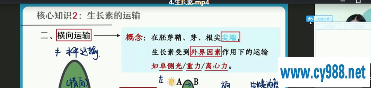 杨雪 2021暑假 高二生物暑假尖端班（更完）课程视频百度云下载-李灰子课堂
