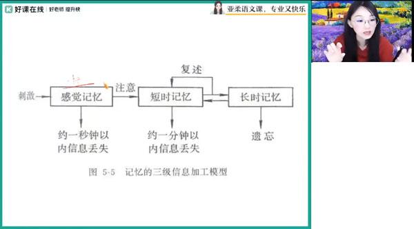 张亚柔 高一语文2024年寒假班 [视频] [课件]